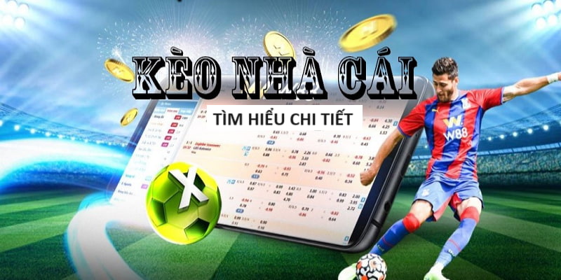 Trang Mạng Cá Cược Uy Tín - Trusted Betting Network Trang Mạng Cá Cược Uy Tín - Trusted Betting Network